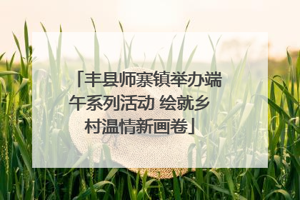 丰县师寨镇举办端午系列活动 绘就乡村温情新画卷