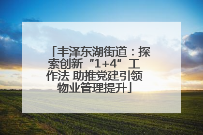 丰泽东湖街道：探索创新“1+4”工作法 助推党建引领物业管理提升