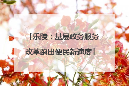 乐陵：基层政务服务改革跑出便民新速度