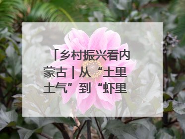 乡村振兴看内蒙古｜从“土里土气”到“虾里虾气” 一田双收模式火出圈
