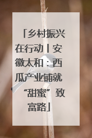 乡村振兴在行动丨安徽太和：西瓜产业铺就“甜蜜”致富路