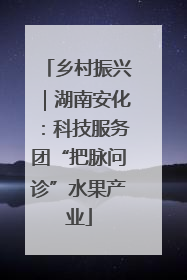乡村振兴｜湖南安化：科技服务团“把脉问诊”水果产业