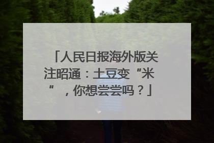 人民日报海外版关注昭通：土豆变“米”，你想尝尝吗？