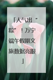 人气出“粽”！万宁端午假期文旅数据亮眼