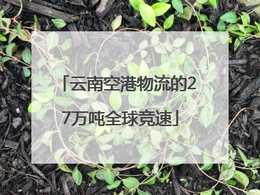 云南空港物流的27万吨全球竞速