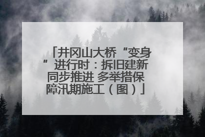 井冈山大桥“变身”进行时：拆旧建新同步推进 多举措保障汛期施工（图）