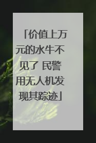 价值上万元的水牛不见了 民警用无人机发现其踪迹