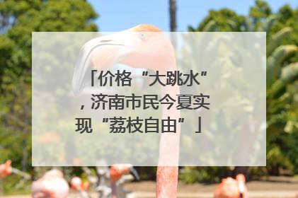 价格“大跳水”，济南市民今夏实现“荔枝自由”