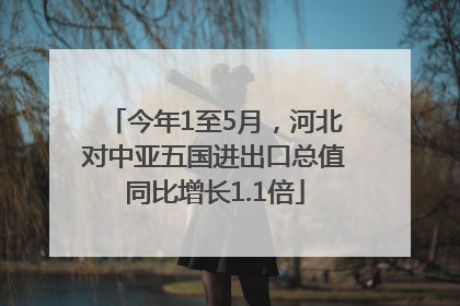 今年1至5月，河北对中亚五国进出口总值同比增长1.1倍