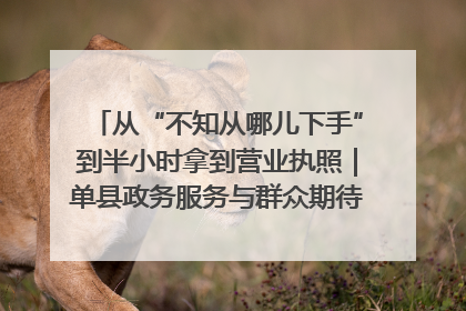从“不知从哪儿下手”到半小时拿到营业执照｜单县政务服务与群众期待的“双向奔赴”