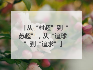 从“村超”到“苏超”，从“追球”到“追求”