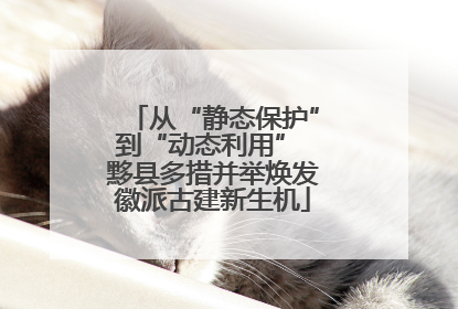 从“静态保护”到“动态利用” 黟县多措并举焕发徽派古建新生机