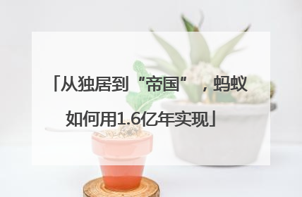 从独居到“帝国”，蚂蚁如何用1.6亿年实现