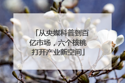 从央媒科普到百亿市场，六个核桃打开产业新空间