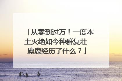 从零到过万！一度本土灭绝如今种群复壮 麋鹿经历了什么？