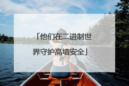 他们在二进制世界守护高墙安全