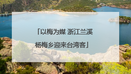 以梅为媒 浙江兰溪杨梅乡迎来台湾客