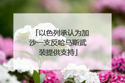 以色列承认为加沙一支反哈马斯武装提供支持