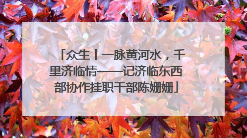 众生丨一脉黄河水，千里济临情——记济临东西部协作挂职干部陈姗姗