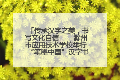 传承汉字之美，书写文化自信——滁州市应用技术学校举行“笔墨中国”汉字书写比赛表彰大会