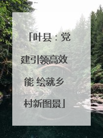 叶县：党建引领高效能 绘就乡村新图景