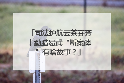 司法护航云茶芬芳丨勐腊易武“断案碑”有啥故事？