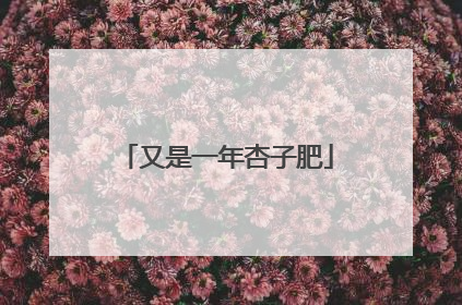 又是一年杏子肥