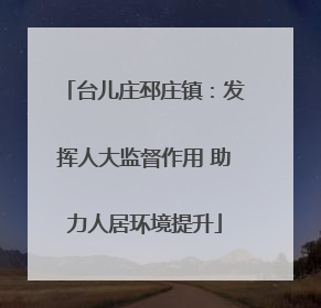 台儿庄邳庄镇：发挥人大监督作用 助力人居环境提升