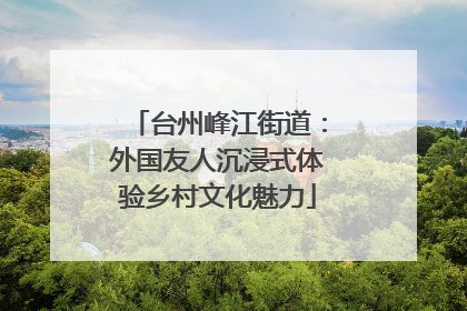 台州峰江街道：外国友人沉浸式体验乡村文化魅力