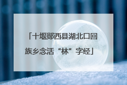 十堰郧西县湖北口回族乡念活“林”字经