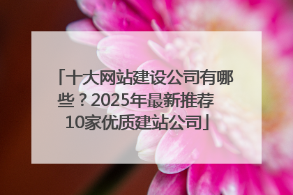十大网站建设公司有哪些？2025年最新推荐10家优质建站公司