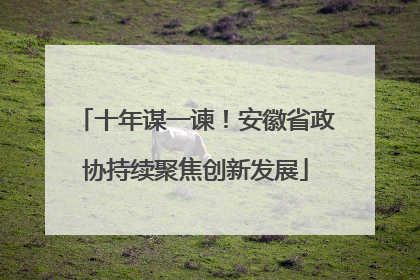 十年谋一谏！安徽省政协持续聚焦创新发展