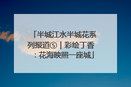 半城江水半城花系列报道⑤｜彩绘丁香：花海映照一座城