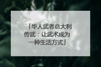 华人武者意大利传武：让武术成为一种生活方式