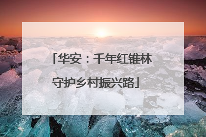 华安：千年红锥林守护乡村振兴路