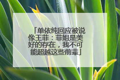 单依纯回应被说像王菲：菲姐是美好的存在，我不可能超越这些前辈