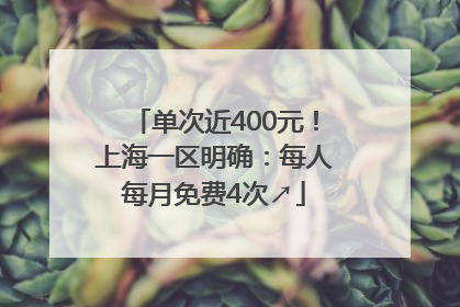单次近400元！上海一区明确：每人每月免费4次↗