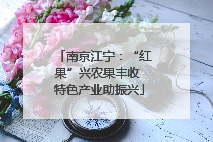 南京江宁：“红果”兴农果丰收 特色产业助振兴