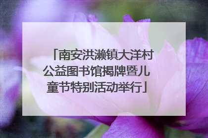 南安洪濑镇大洋村公益图书馆揭牌暨儿童节特别活动举行