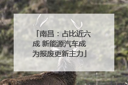 南昌：占比近六成 新能源汽车成为报废更新主力