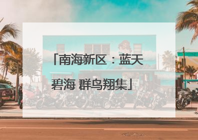 南海新区：蓝天碧海 群鸟翔集