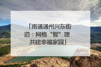 南通通州兴东街道:网格“智”理 共建幸福家园