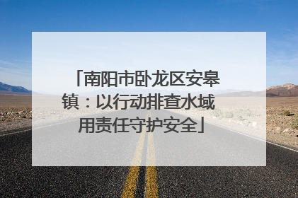 南阳市卧龙区安皋镇：以行动排查水域 用责任守护安全