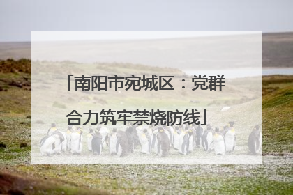南阳市宛城区：党群合力筑牢禁烧防线