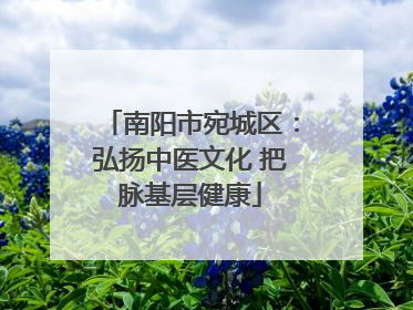 南阳市宛城区：弘扬中医文化 把脉基层健康