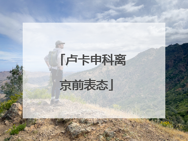 卢卡申科离京前表态