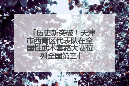 历史新突破！天津市西青区代表队在全国性武术套路大赛位列全国第三