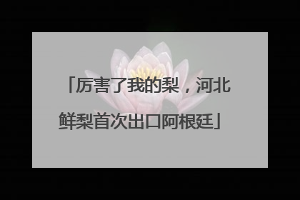 厉害了我的梨，河北鲜梨首次出口阿根廷