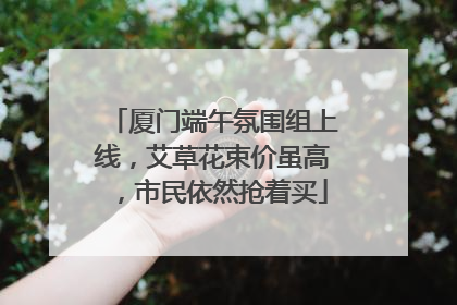 厦门端午氛围组上线，艾草花束价虽高，市民依然抢着买