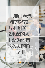 厦门海沧湖钓起72斤石斑鱼！2米深的人工湖为何有这么大的鱼？